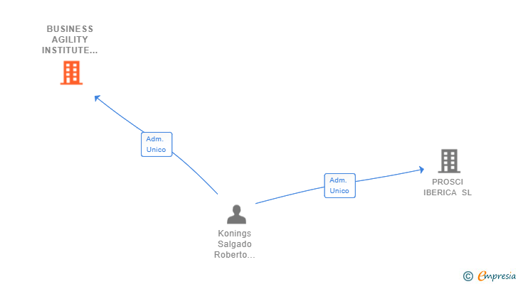 Vinculaciones societarias de BUSINESS AGILITY INSTITUTE SL