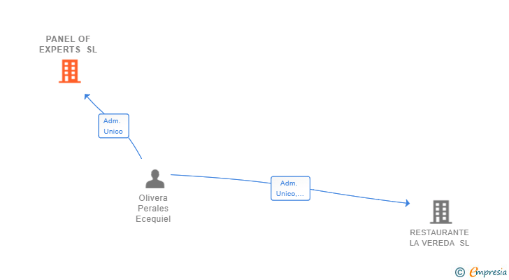 Vinculaciones societarias de PANEL OF EXPERTS SL