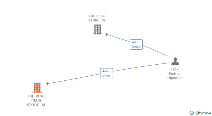 Vinculaciones societarias de THE PURE PLUG STORE SL