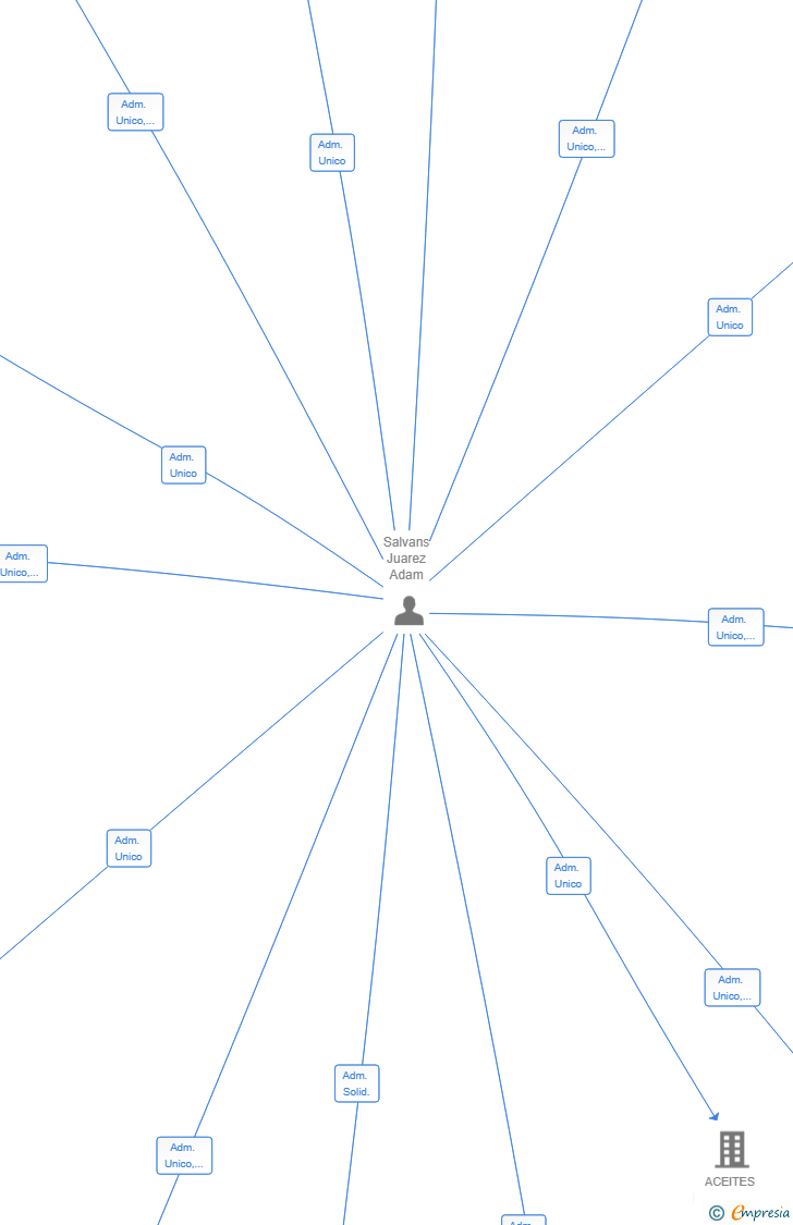 Vinculaciones societarias de EXTERNALIZANDO SL
