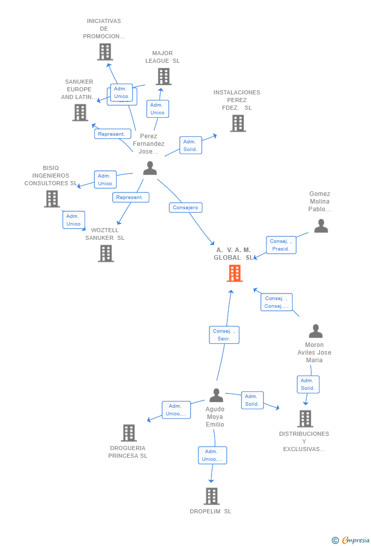 Vinculaciones societarias de A. V. A. M. GLOBAL SL