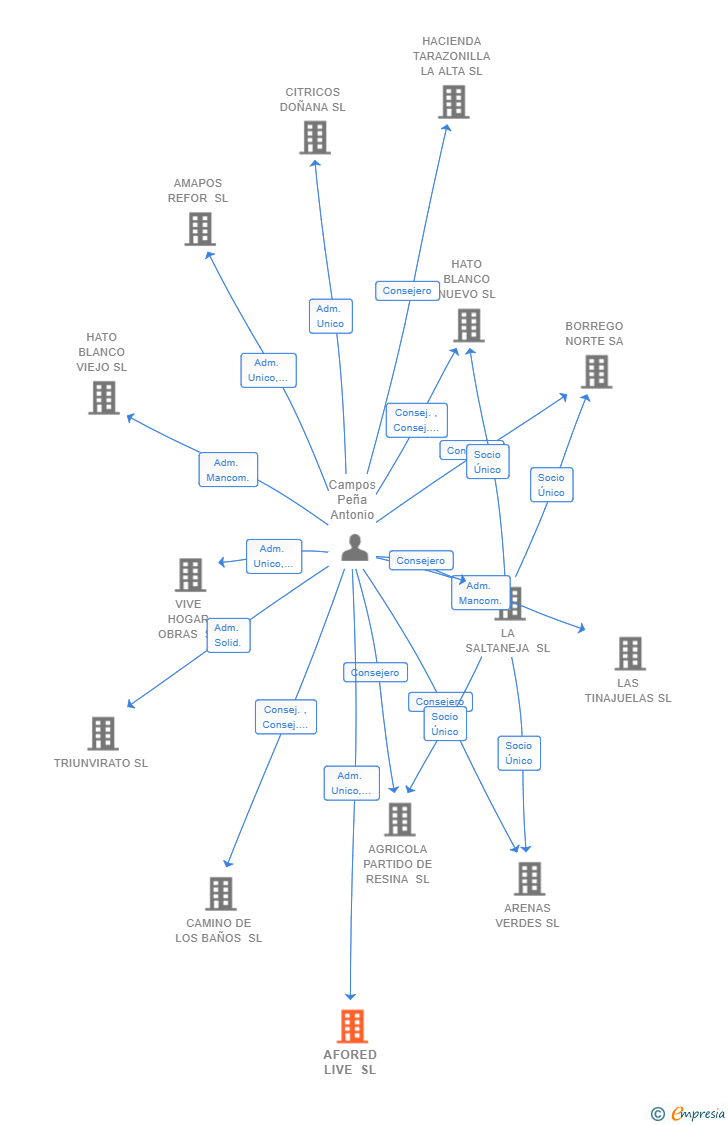 Vinculaciones societarias de AFORED LIVE SL