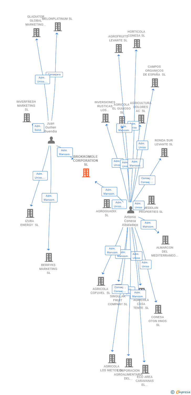 Vinculaciones societarias de BROKKOMOLE CORPORATION SL