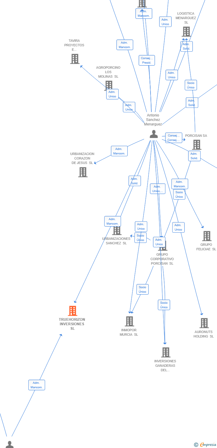 Vinculaciones societarias de TRUEHORIZON INVERSIONES SL
