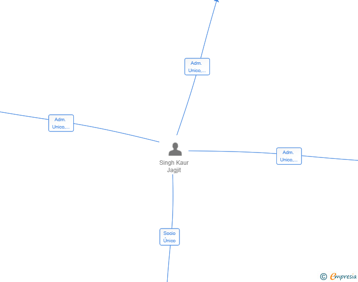 Vinculaciones societarias de SINGH ENTERPRISE MARKETS SL