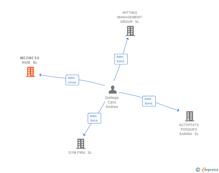 Vinculaciones societarias de MEDNESS HUB SL