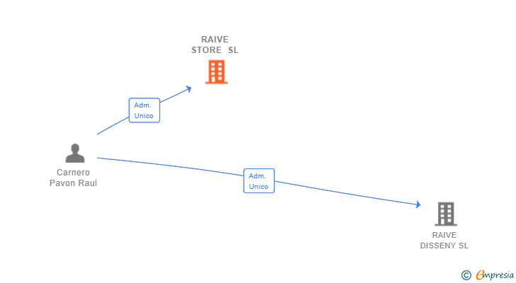 Vinculaciones societarias de RAIVE STORE SL