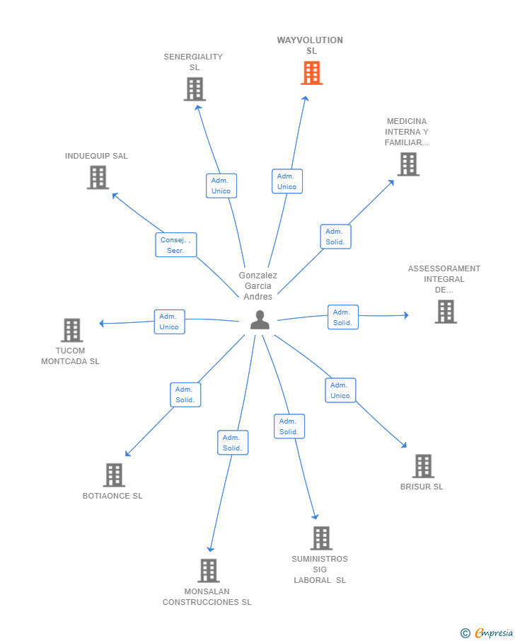 Vinculaciones societarias de WAYVOLUTION SL