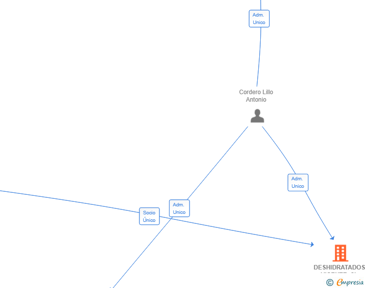 Vinculaciones societarias de DESHIDRATADOS VICENTE SL
