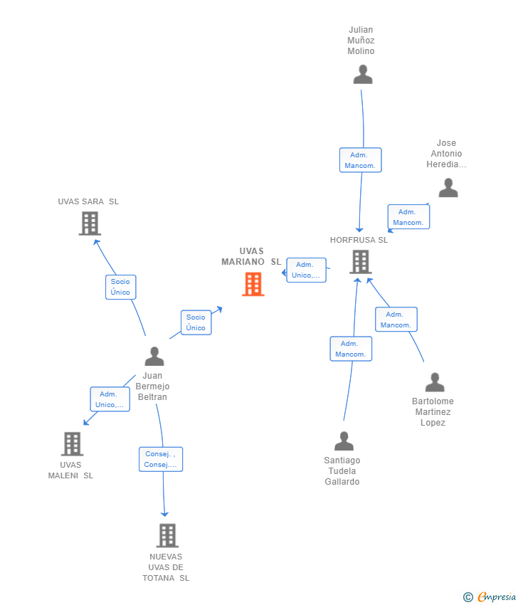 Vinculaciones societarias de UVAS MARIANO SL