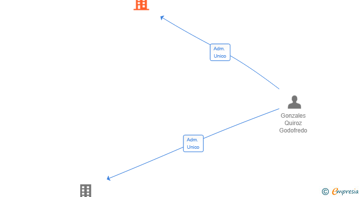 Vinculaciones societarias de TIGOAT WEB SERVICES SL