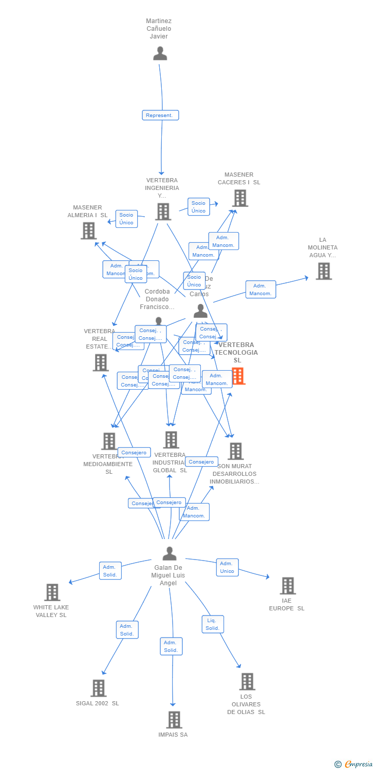 Vinculaciones societarias de VERTEBRA TECNOLOGIA SL