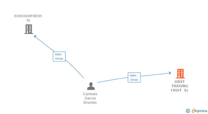 Vinculaciones societarias de OBST TRADING FRUIT SL