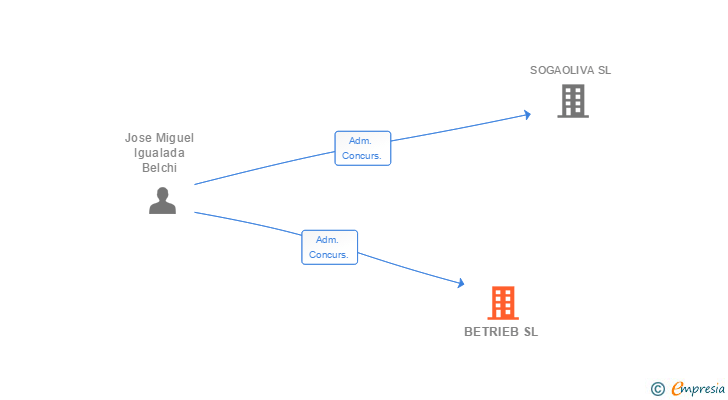 Vinculaciones societarias de BETRIEB SL