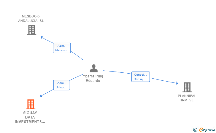 Vinculaciones societarias de SIGUAY DATA INVESTMENTS SL