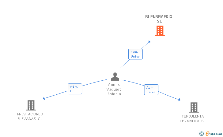 Vinculaciones societarias de BUENREMEDIO SL