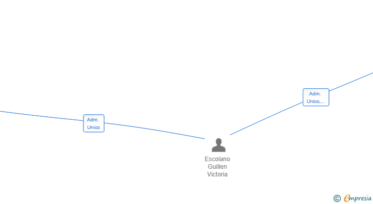 Vinculaciones societarias de WELL LANDED EXPERIENCE SL
