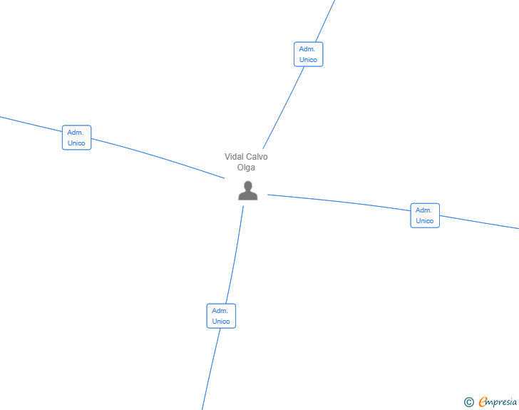 Vinculaciones societarias de LORTSTAR CONSULTING SL