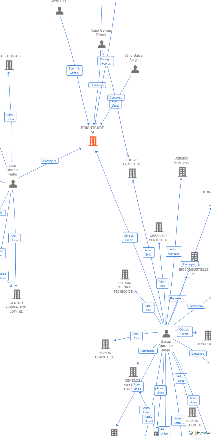 Vinculaciones societarias de BRIGHTCURE SL