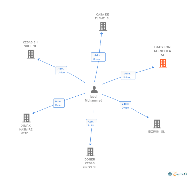 Vinculaciones societarias de BABYLON AGRICOLA SL