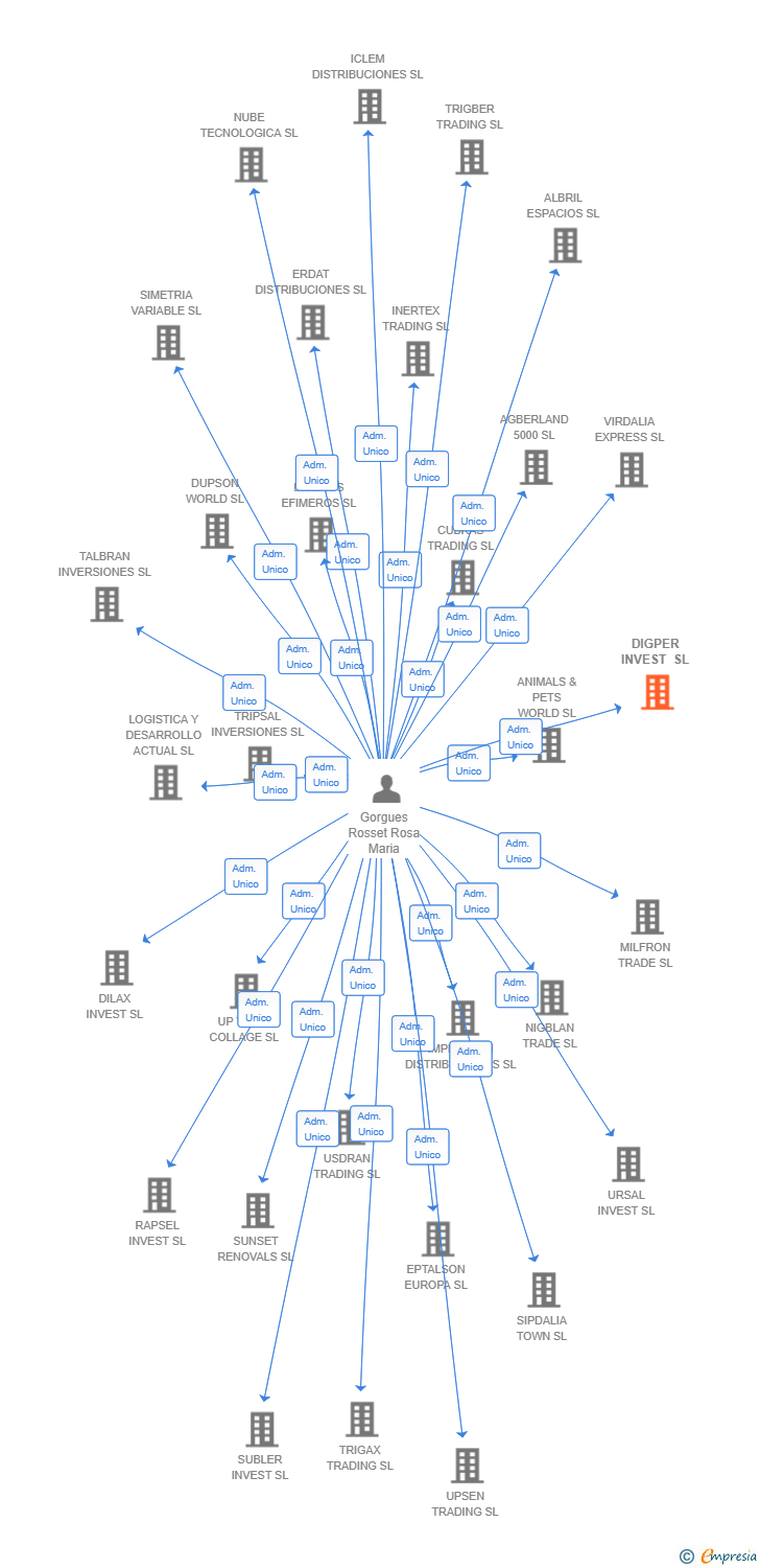 Vinculaciones societarias de DIGPER INVEST SL