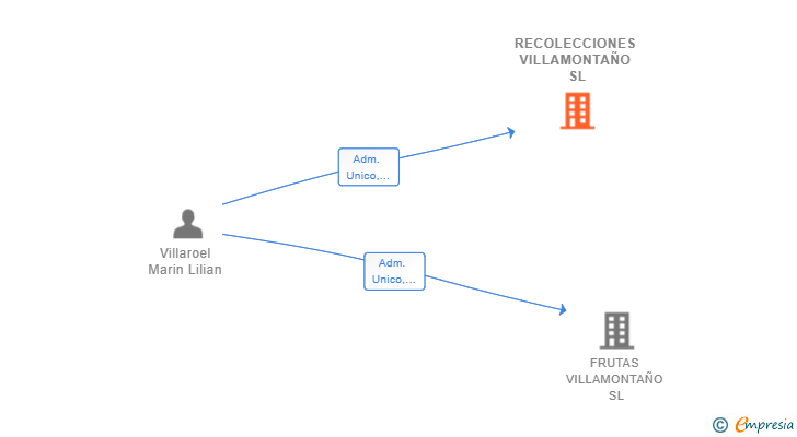 Vinculaciones societarias de RECOLECCIONES VILLAMONTAÑO SL