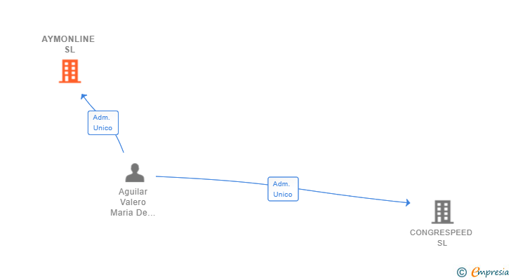 Vinculaciones societarias de AYMONLINE SL