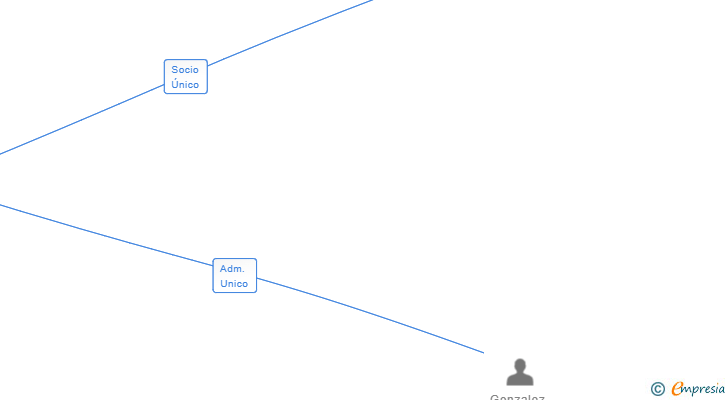 Vinculaciones societarias de VIRTUALED SA