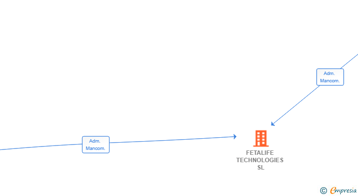 Vinculaciones societarias de FETALIFE TECHNOLOGIES SL