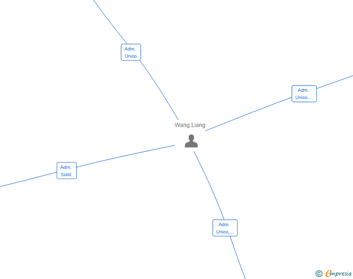 Vinculaciones societarias de LIANG SPAIN COMERCIO SL