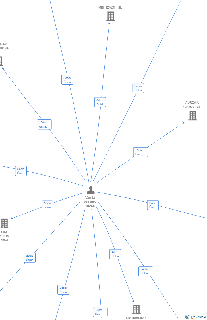 Vinculaciones societarias de PINNACLE GLOBAL SYSTEMS SL