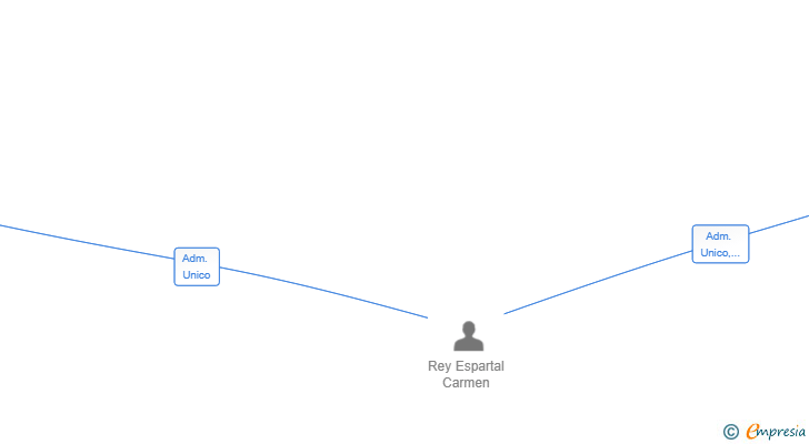 Vinculaciones societarias de REYES CAPITAL SL