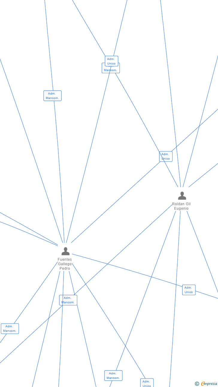 Vinculaciones societarias de DOMUS FACILITY SL