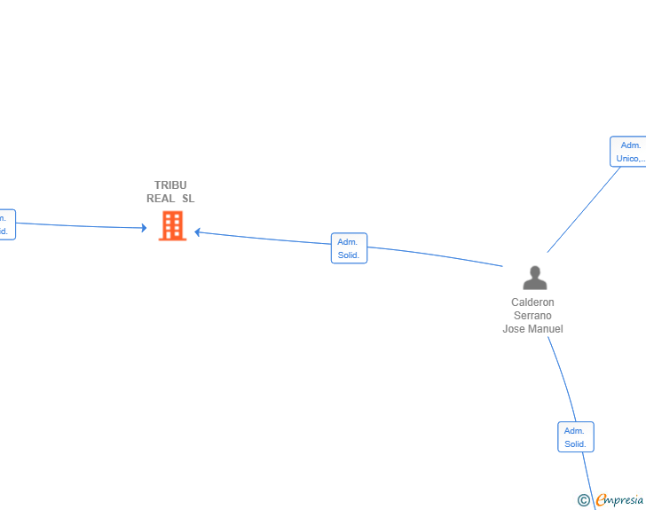 Vinculaciones societarias de TRIBU REAL SL
