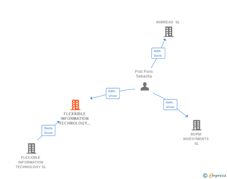 Vinculaciones societarias de FLEXXIBLE INFORMATION TECHNOLOGY SPAIN SL