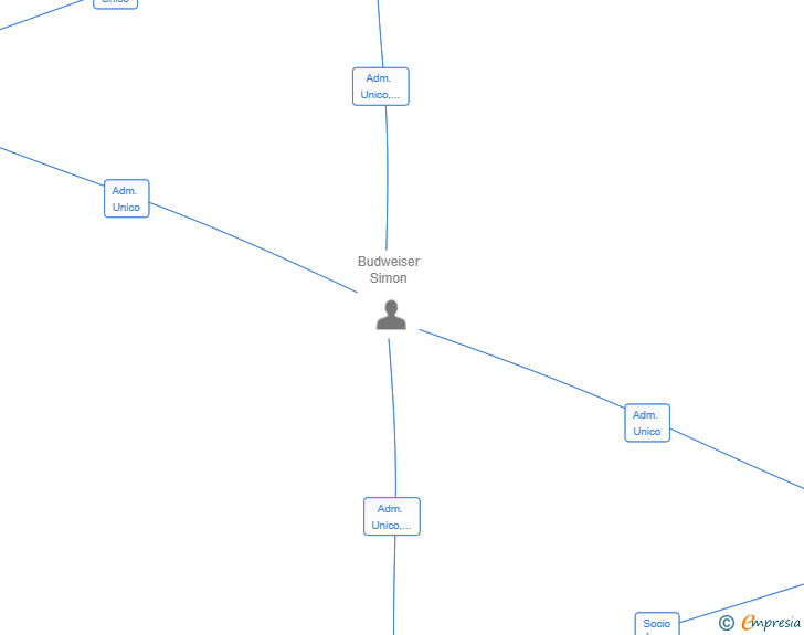 Vinculaciones societarias de BUDWEISER SUNSTONE GROUP SL