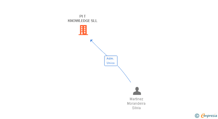 Vinculaciones societarias de PI T KNOWLEDGE SL