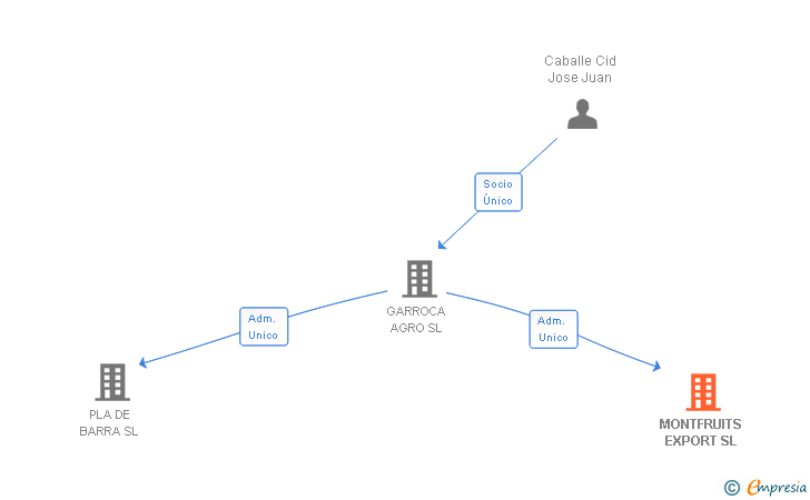 Vinculaciones societarias de MONTFRUITS EXPORT SL