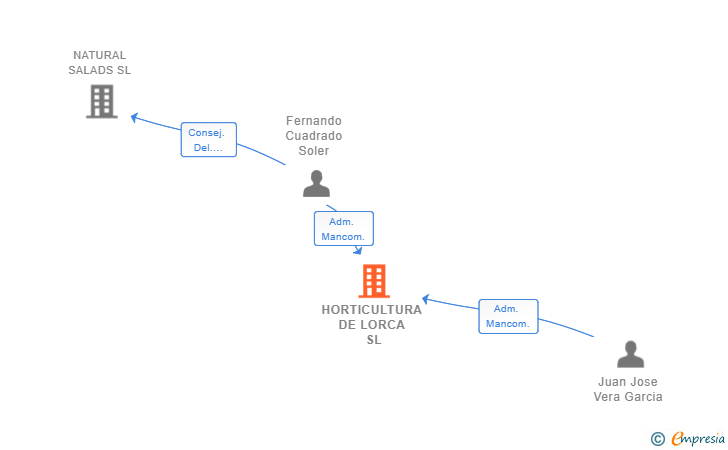 Vinculaciones societarias de HORTICULTURA DE LORCA SL