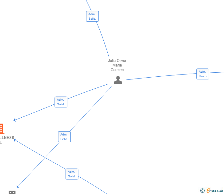 Vinculaciones societarias de BODYFULLNESS SL