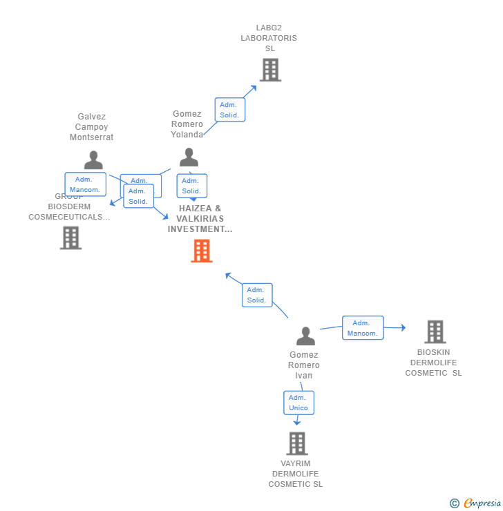 Vinculaciones societarias de HAIZEA & VALKIRIAS INVESTMENT GROUP SL