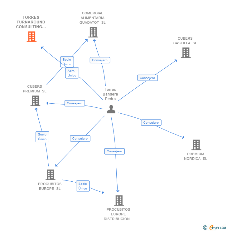 Vinculaciones societarias de TORRES TURNAROUND CONSULTING SL