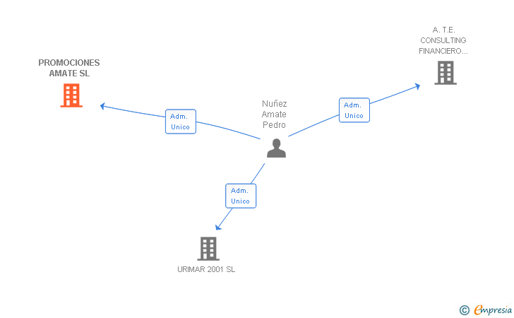 Vinculaciones societarias de PROMOCIONES AMATE SL
