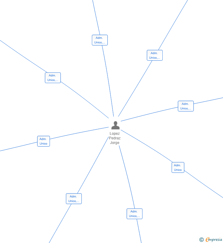 Vinculaciones societarias de PEDRAZ EVOLUTION SL