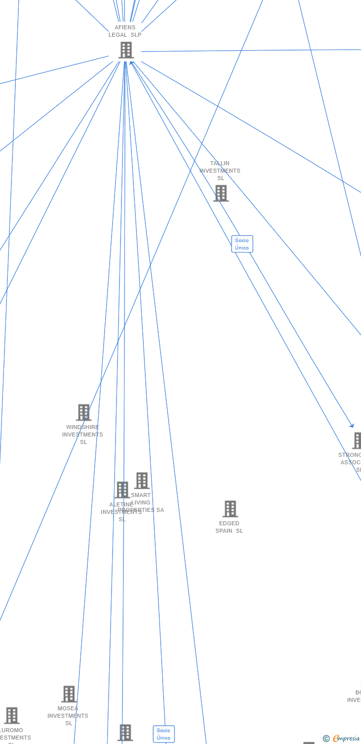 Vinculaciones societarias de IX CLOUD GLOBAL HOLDINGS SL