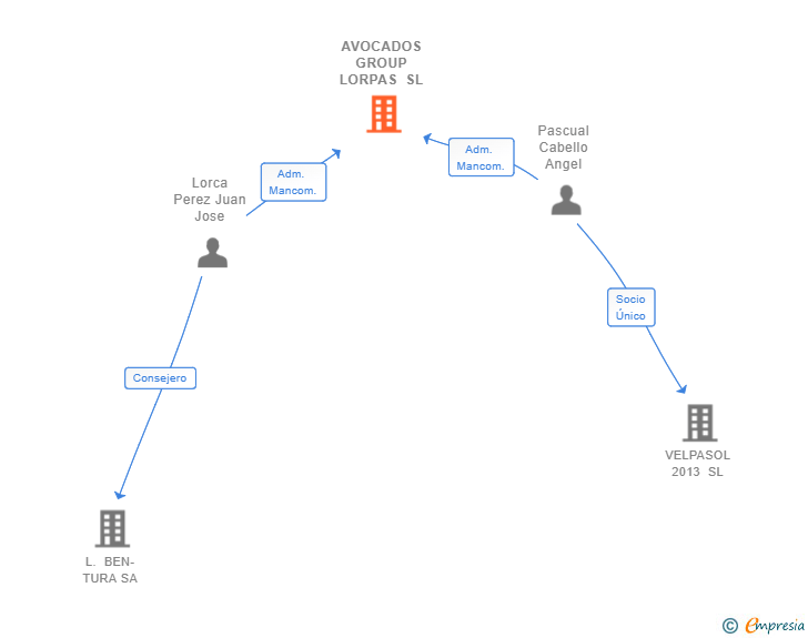 Vinculaciones societarias de AVOCADOS GROUP LORPAS SL