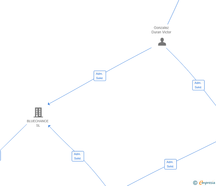 Vinculaciones societarias de BLUECHANCE MANTENIMENTS SL