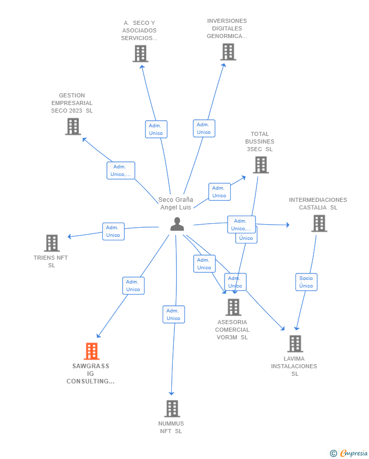 Vinculaciones societarias de SAWGRASS IG CONSULTING SL