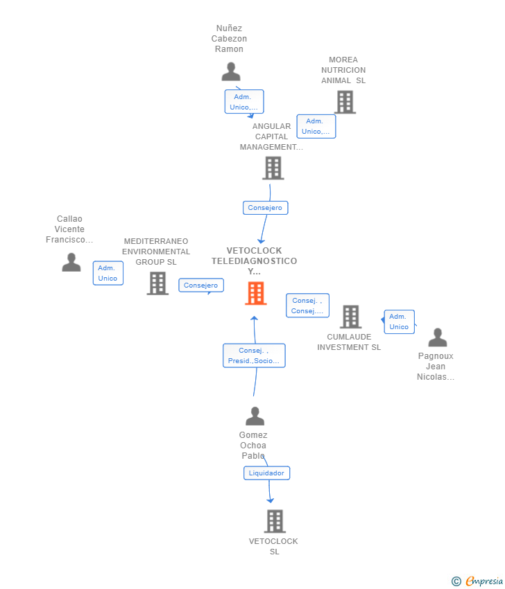 Vinculaciones societarias de VETOCLOCK TELEDIAGNOSTICO Y FORMACION SL