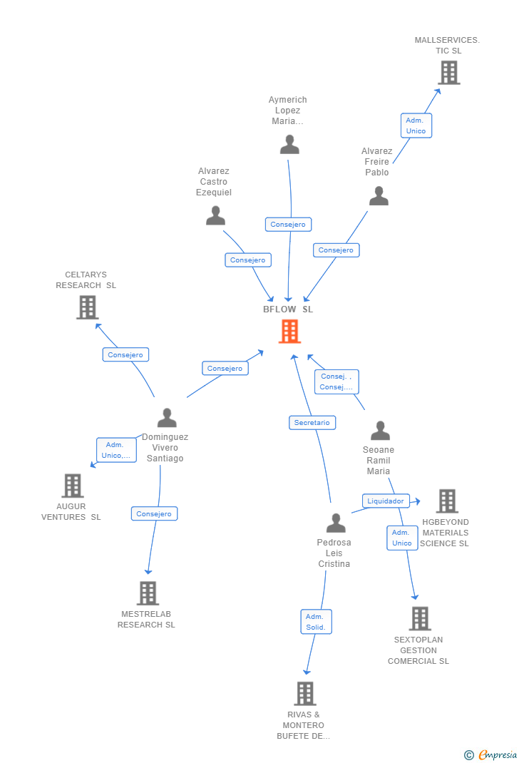 Vinculaciones societarias de BFLOW SL